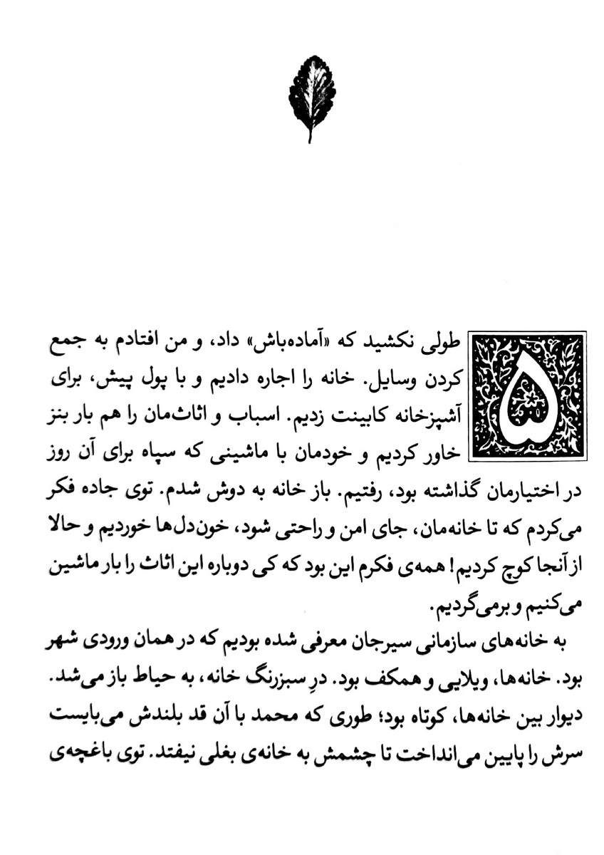 پاییز پنجاه سالگی