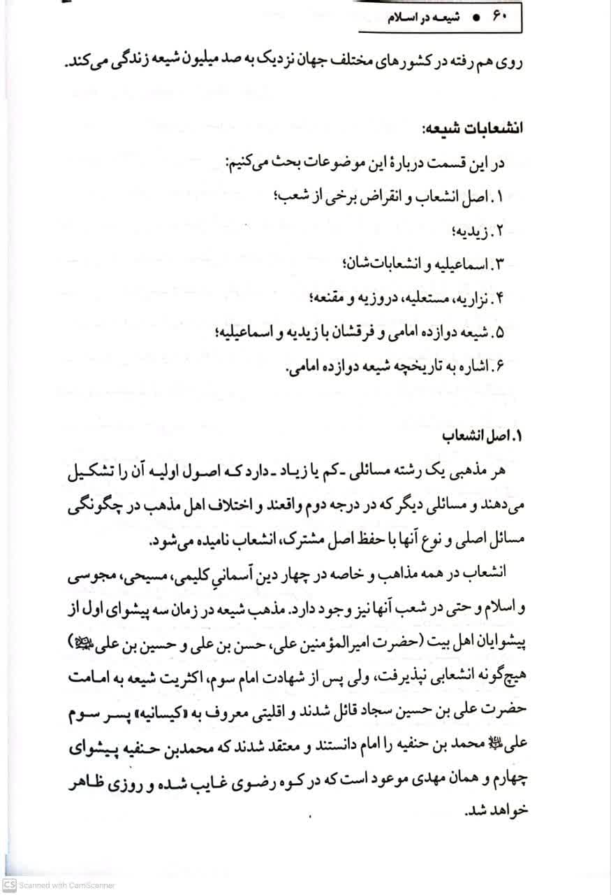شیعه در اسلام