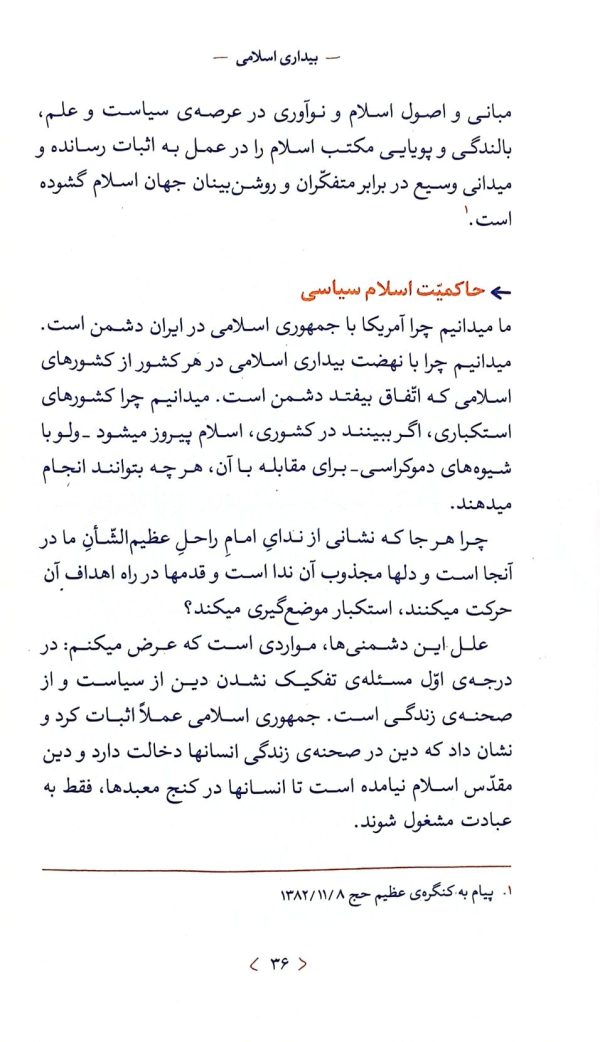 بیداری اسلامی (ره‌نامه: جلد۳۷)